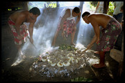 Traditionele Samoaan
